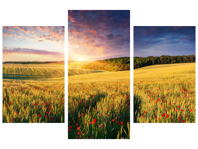modern-3-piece-canvas-print-a-flower-field-at-sunrise