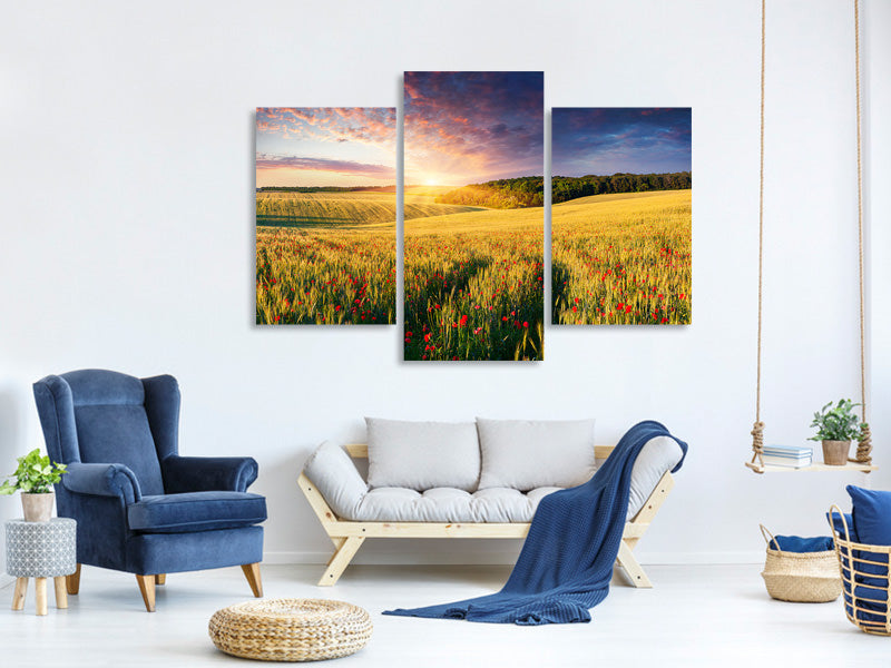modern-3-piece-canvas-print-a-flower-field-at-sunrise