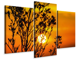 modern-3-piece-canvas-print-a-shrub-in-the-sunset