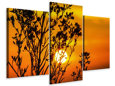 modern-3-piece-canvas-print-a-shrub-in-the-sunset