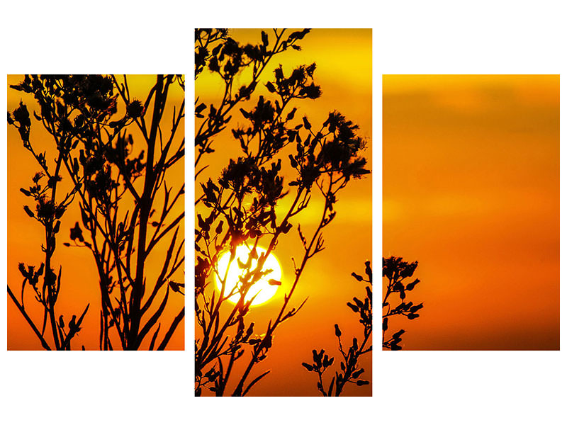 modern-3-piece-canvas-print-a-shrub-in-the-sunset