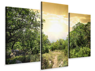 modern-3-piece-canvas-print-at-the-end-of-the-forest