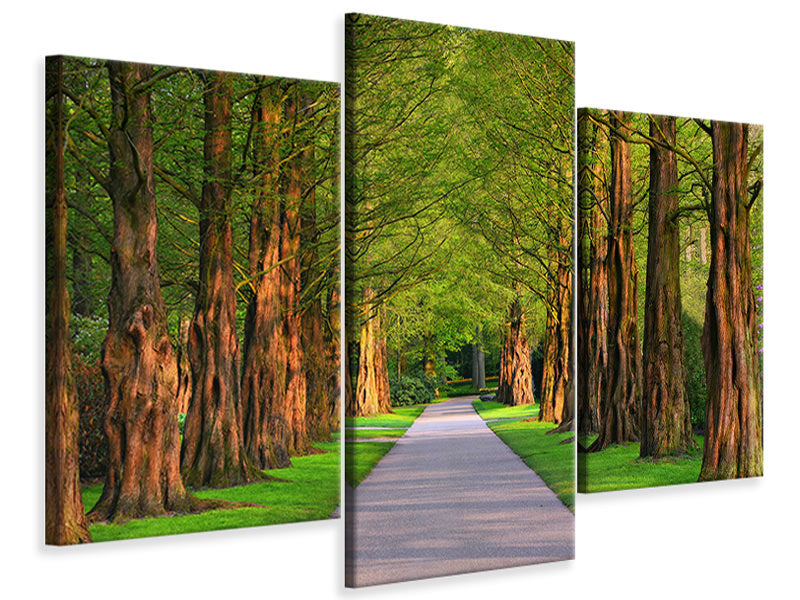 modern-3-piece-canvas-print-beautiful-avenue-in-nature