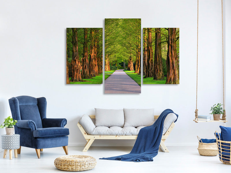 modern-3-piece-canvas-print-beautiful-avenue-in-nature