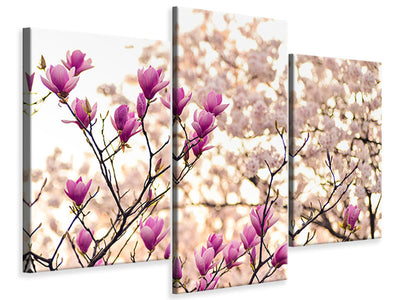 modern-3-piece-canvas-print-beautiful-magnolia-xl