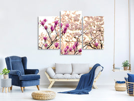 modern-3-piece-canvas-print-beautiful-magnolia-xl