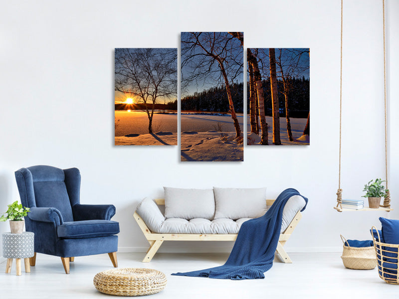 modern-3-piece-canvas-print-birches-in-the-sunset