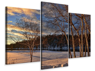 modern-3-piece-canvas-print-birches-in-the-winter