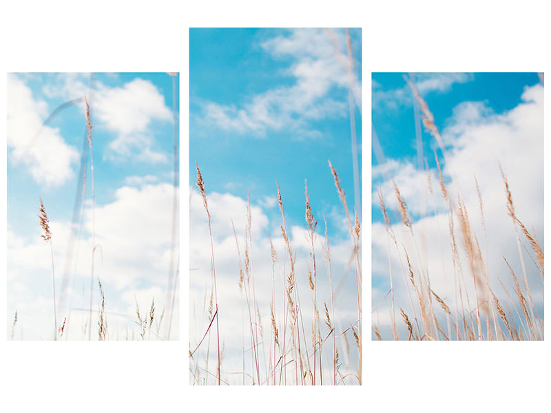 modern-3-piece-canvas-print-blades-of-grass-in-the-sky