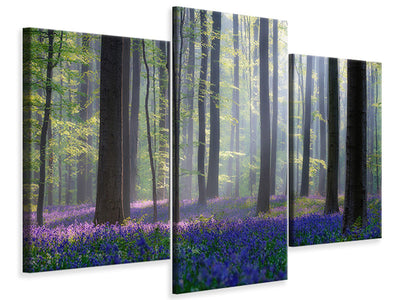 modern-3-piece-canvas-print-bluebells