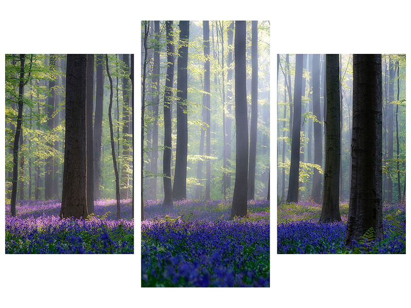 modern-3-piece-canvas-print-bluebells