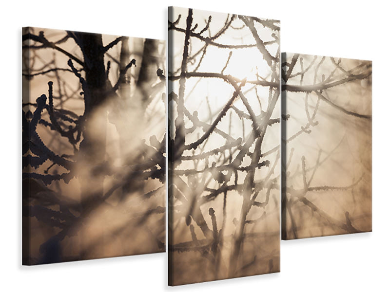 modern-3-piece-canvas-print-branches-in-fog-light