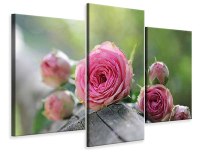 modern-3-piece-canvas-print-bush-roses