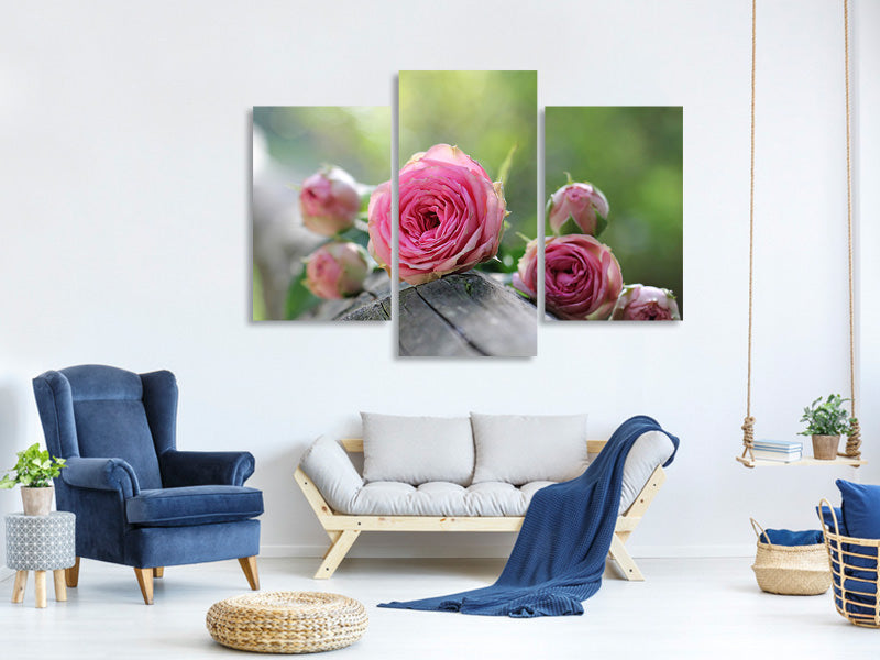 modern-3-piece-canvas-print-bush-roses