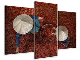 modern-3-piece-canvas-print-chilli