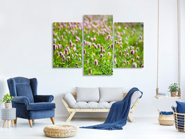 modern-3-piece-canvas-print-clover