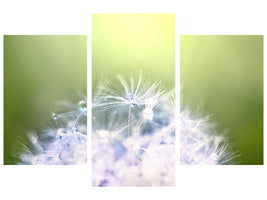 modern-3-piece-canvas-print-dandelion-xl-in-morning-dew