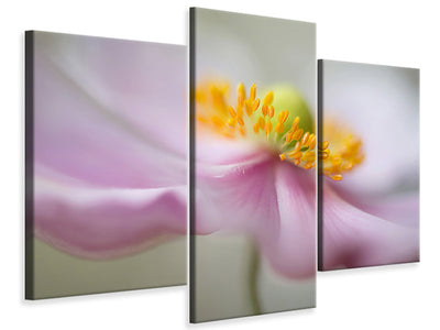 modern-3-piece-canvas-print-dreaminess