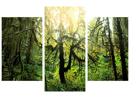 modern-3-piece-canvas-print-dreamy-forest