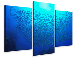 modern-3-piece-canvas-print-fish-world