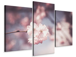 modern-3-piece-canvas-print-flower-xl