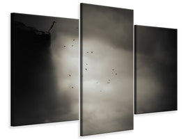 modern-3-piece-canvas-print-fly-like-a-bird