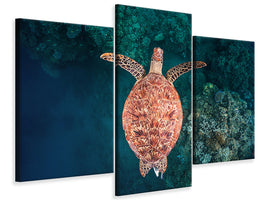 modern-3-piece-canvas-print-flying-over-the-reef