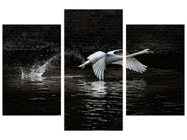 modern-3-piece-canvas-print-flying-swan