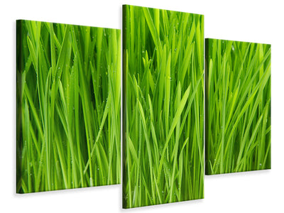 modern-3-piece-canvas-print-grass-in-morning-dew