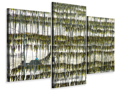 modern-3-piece-canvas-print-harvesting-kelp