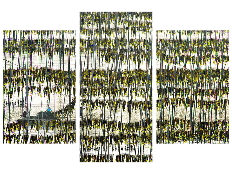 modern-3-piece-canvas-print-harvesting-kelp
