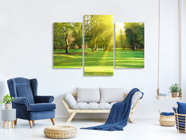 modern-3-piece-canvas-print-in-the-park