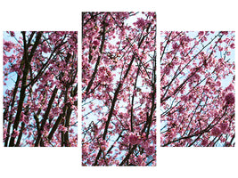 modern-3-piece-canvas-print-japanese-cherry-blossom