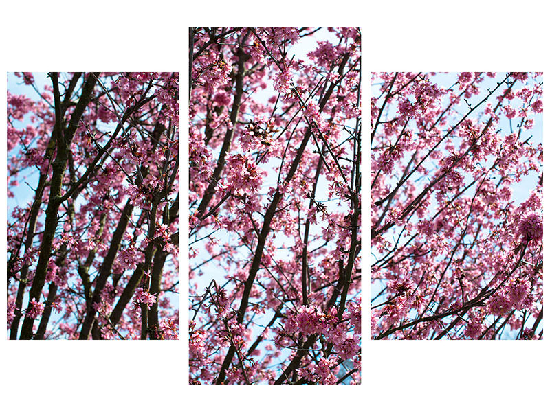 modern-3-piece-canvas-print-japanese-cherry-blossom