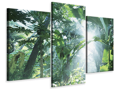 modern-3-piece-canvas-print-jungle-star