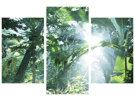 modern-3-piece-canvas-print-jungle-star