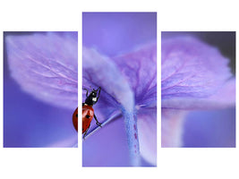 modern-3-piece-canvas-print-ladybird-on-purple-hydrangea