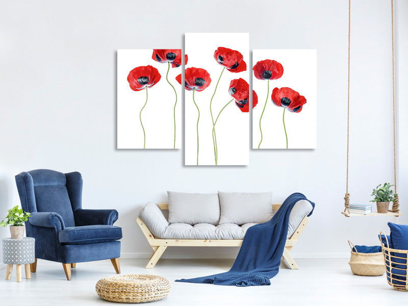 modern-3-piece-canvas-print-ladybird-poppies