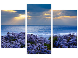 modern-3-piece-canvas-print-lavender-and-sea