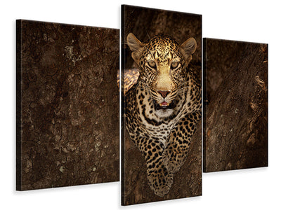 modern-3-piece-canvas-print-leopard-resting-on-a-tree-at-masai-mara