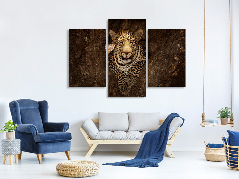 modern-3-piece-canvas-print-leopard-resting-on-a-tree-at-masai-mara
