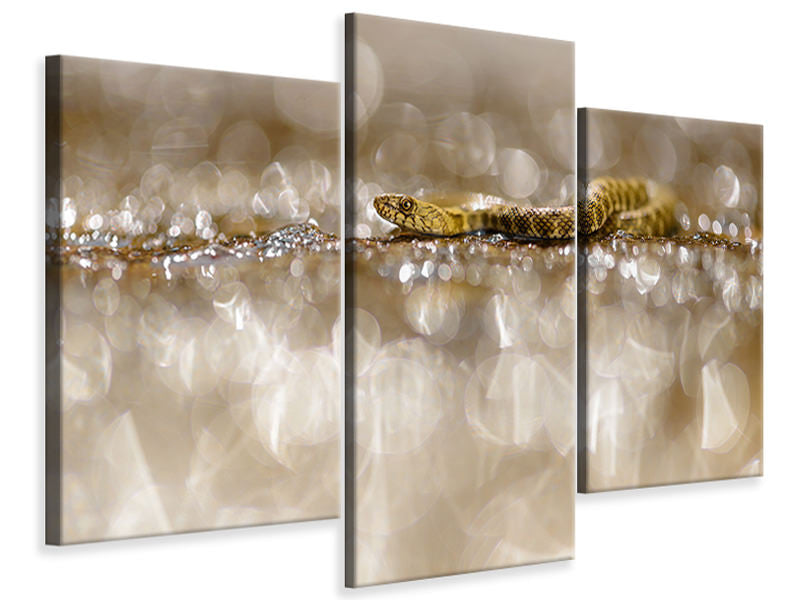 modern-3-piece-canvas-print-life-among-diamonds