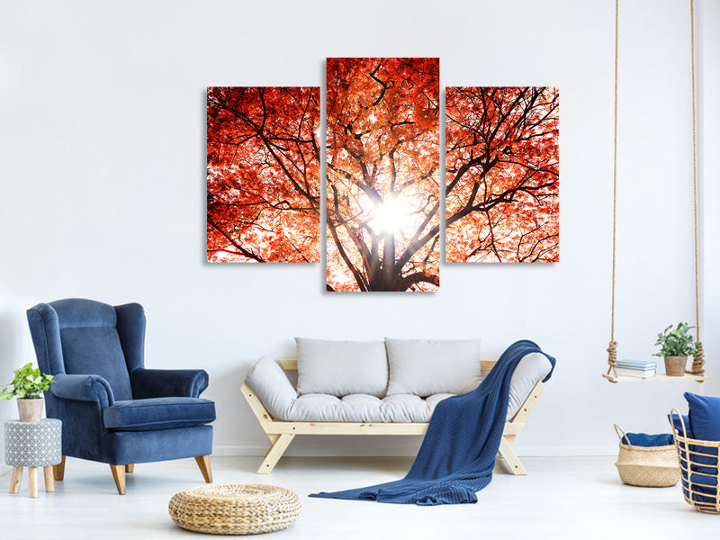 modern-3-piece-canvas-print-light-of-autumn