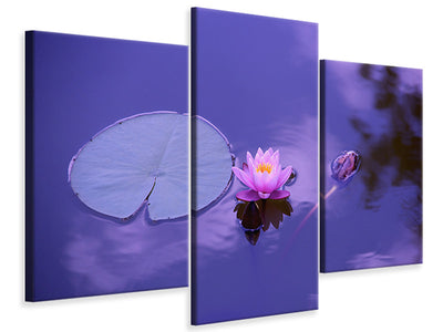 modern-3-piece-canvas-print-lotus-flower