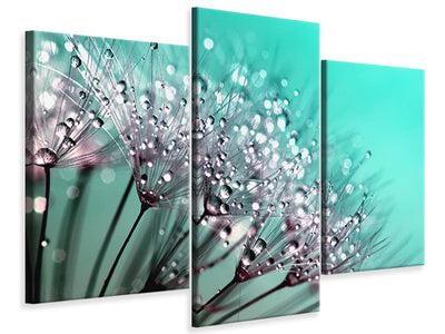 modern-3-piece-canvas-print-macro-dandelion-p