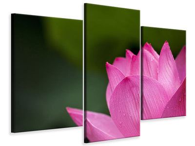 modern-3-piece-canvas-print-marko-lotus-in-pink