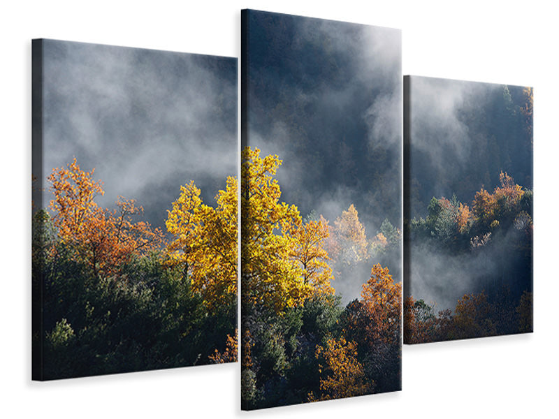 modern-3-piece-canvas-print-moonlight-forest