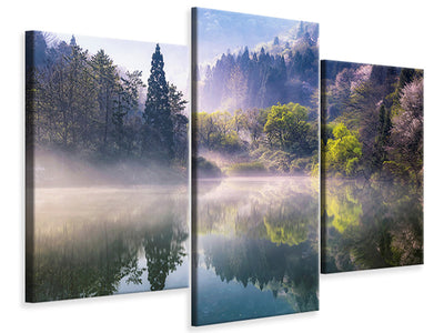 modern-3-piece-canvas-print-morning-calm