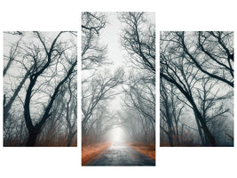 modern-3-piece-canvas-print-mysterious-mood-in-the-forest