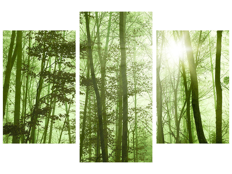 modern-3-piece-canvas-print-nibelungen-forest